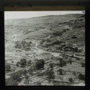 Böhl glass slide 61./1523 II